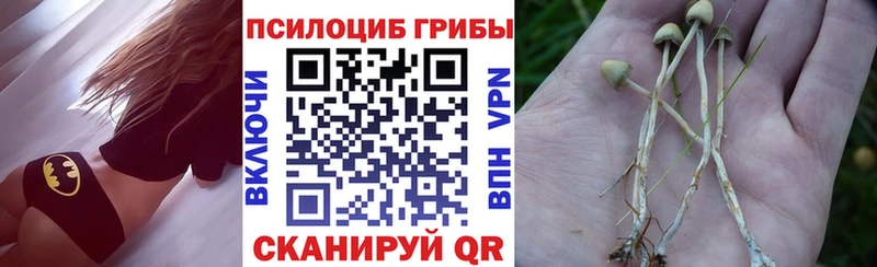 Псилоцибиновые грибы прущие грибы  купить наркотик  MEGA tor  Прокопьевск 