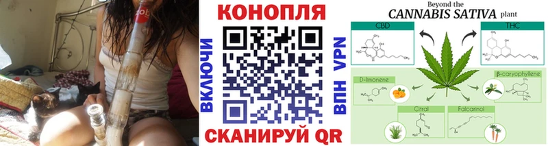 Конопля индика  сайты даркнета официальный сайт  Прокопьевск 